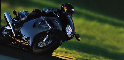 pic01.jpg (22175 bytes)